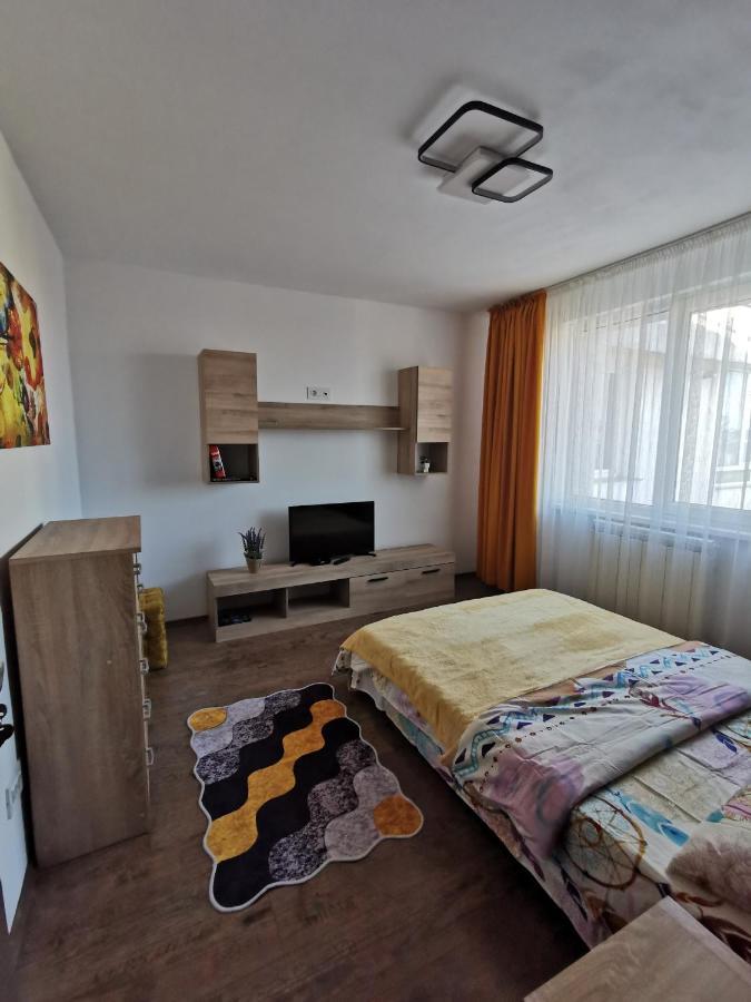 Apartament Asr Piatra Neamţ Buitenkant foto