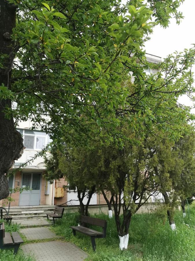 Apartament Asr Piatra Neamţ Buitenkant foto